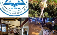 红桔影院免费观看电视剧高清